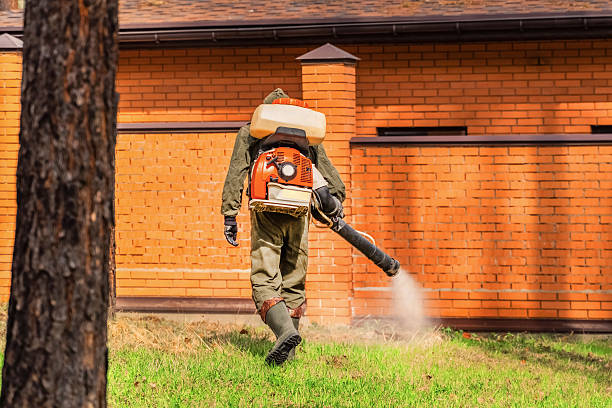Trusted Cockroach Control service in Lake Cherokee, TX - Nex Pest Control